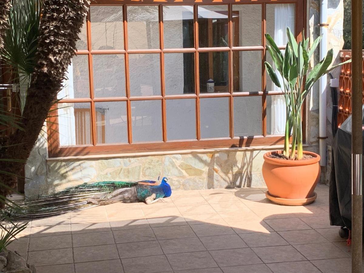 Casa Lisboa Ferienhaus